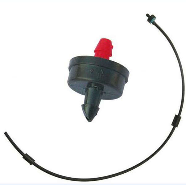 �������M�D